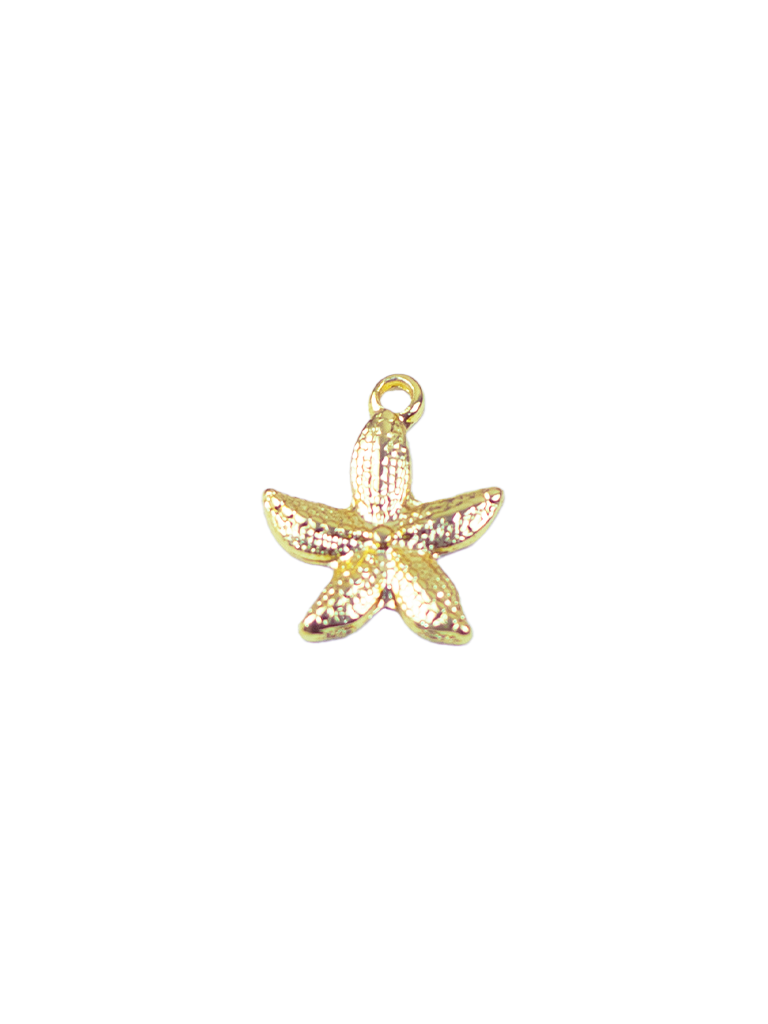 Pingente Dourado de Estrela do Mar Texturizada