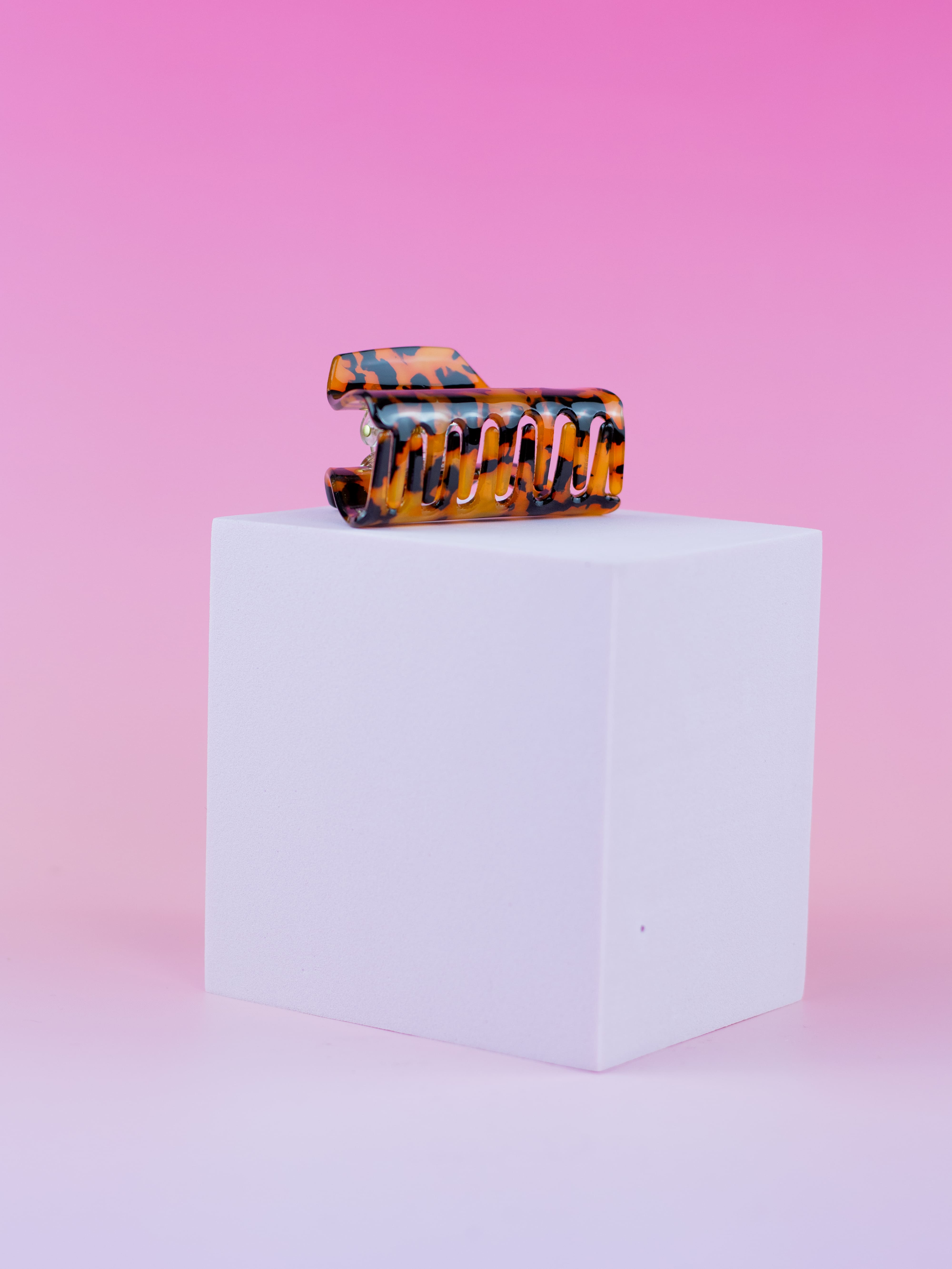 Piranha de Acrílico Média Colorida