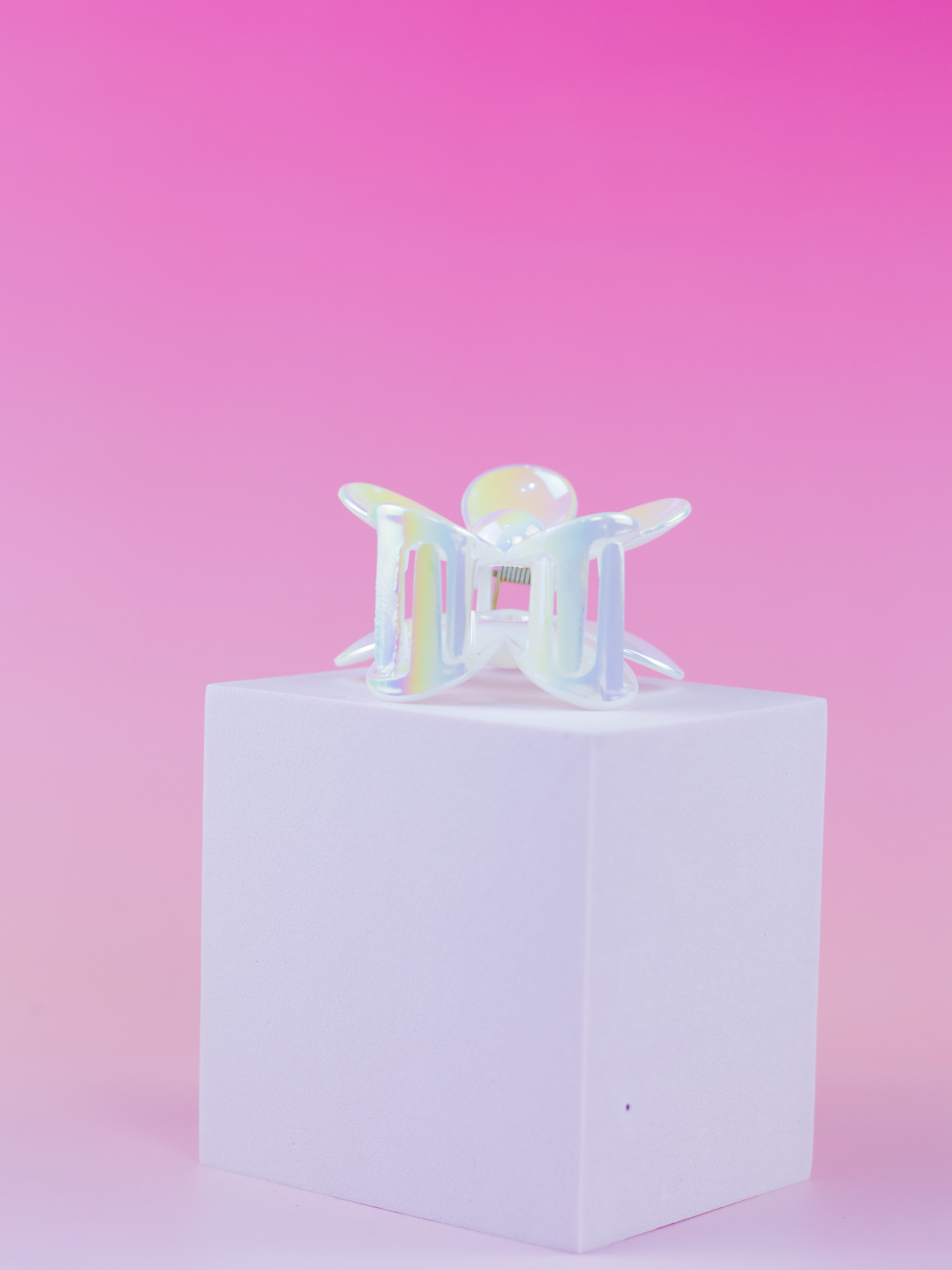 Piranha de Flor Margarida Branco