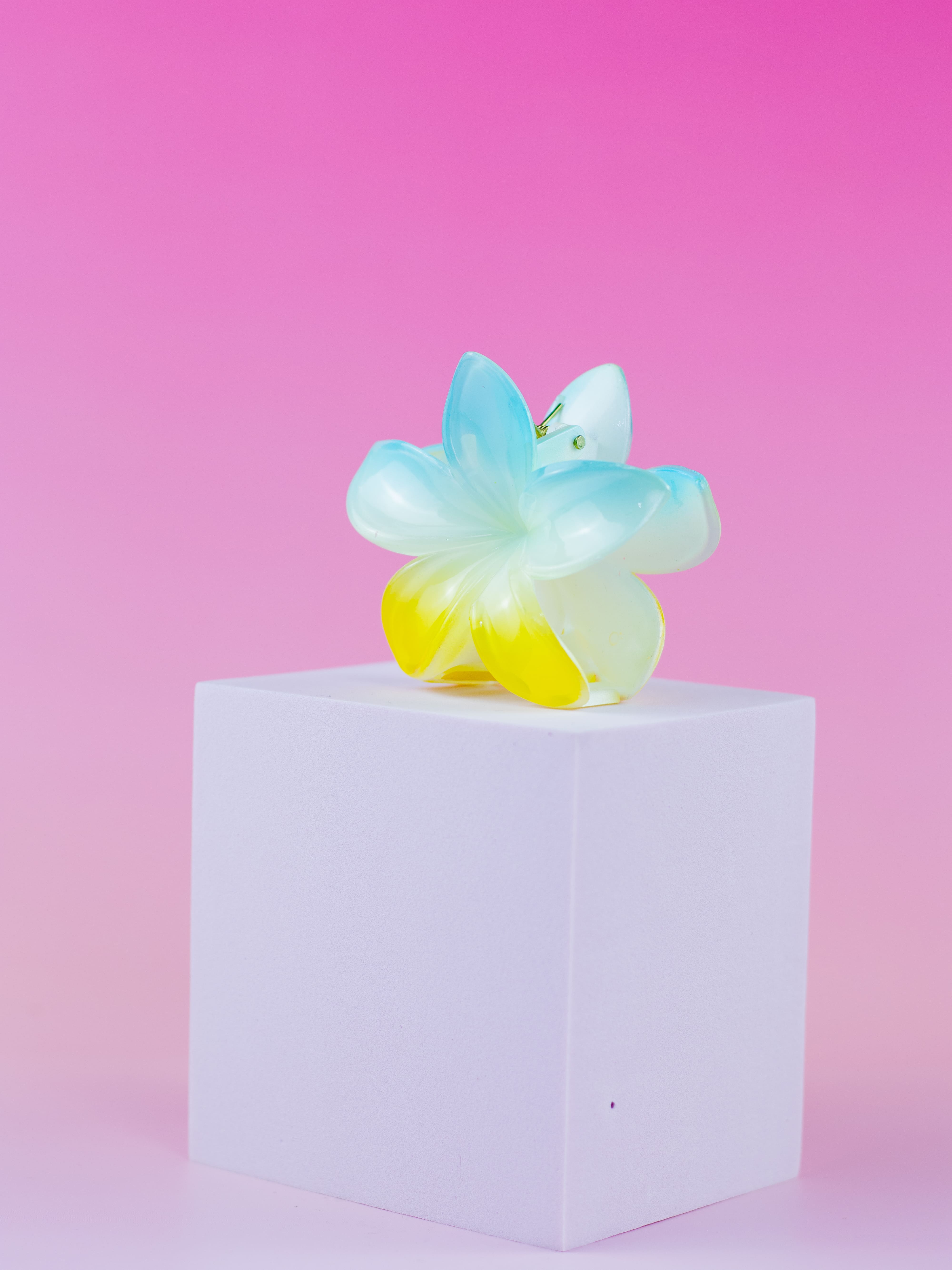 Piranha de Flor Degradê Azul e Amarelo