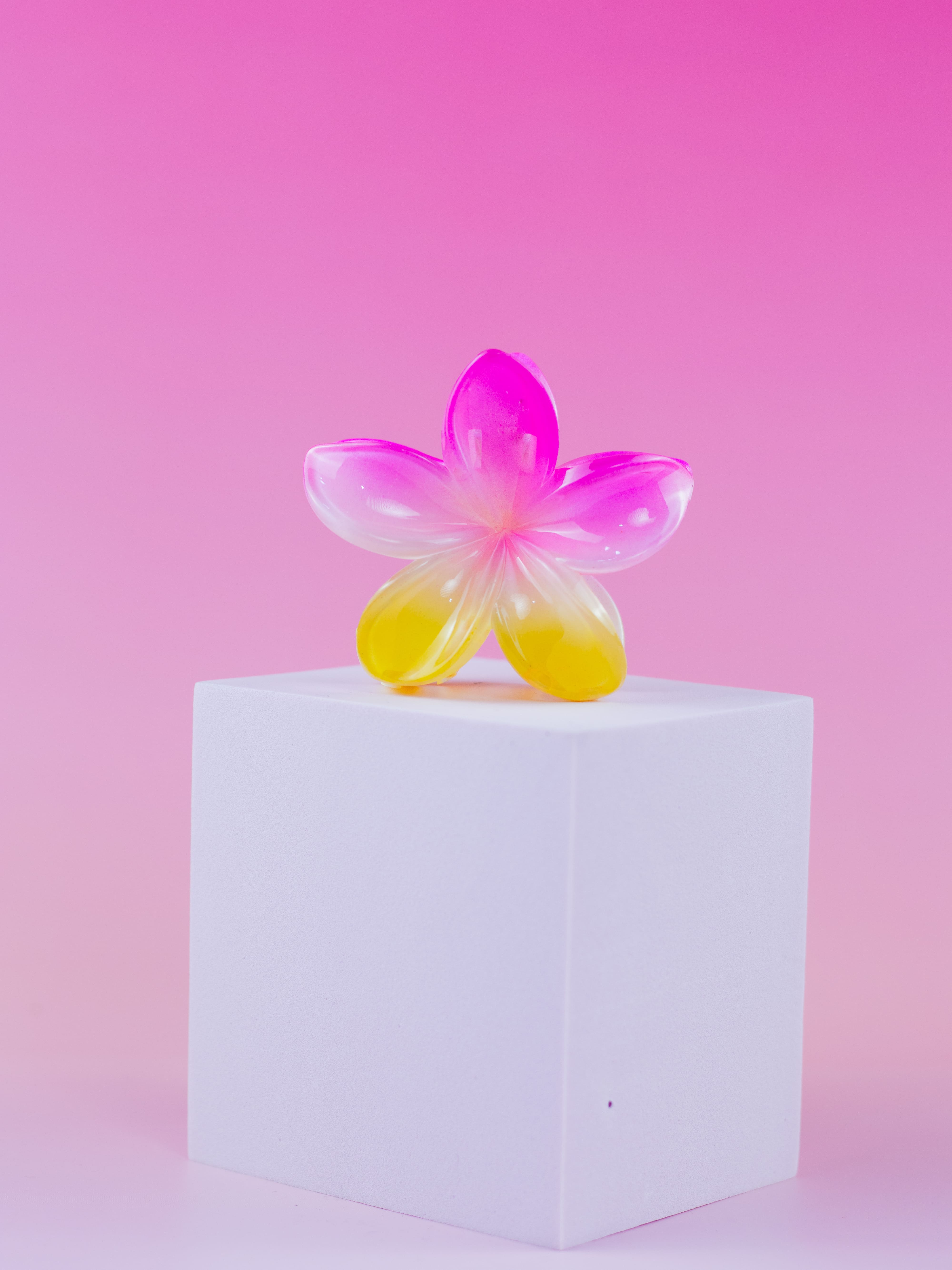 Piranha de Flor Degradê Rosa e Amarelo