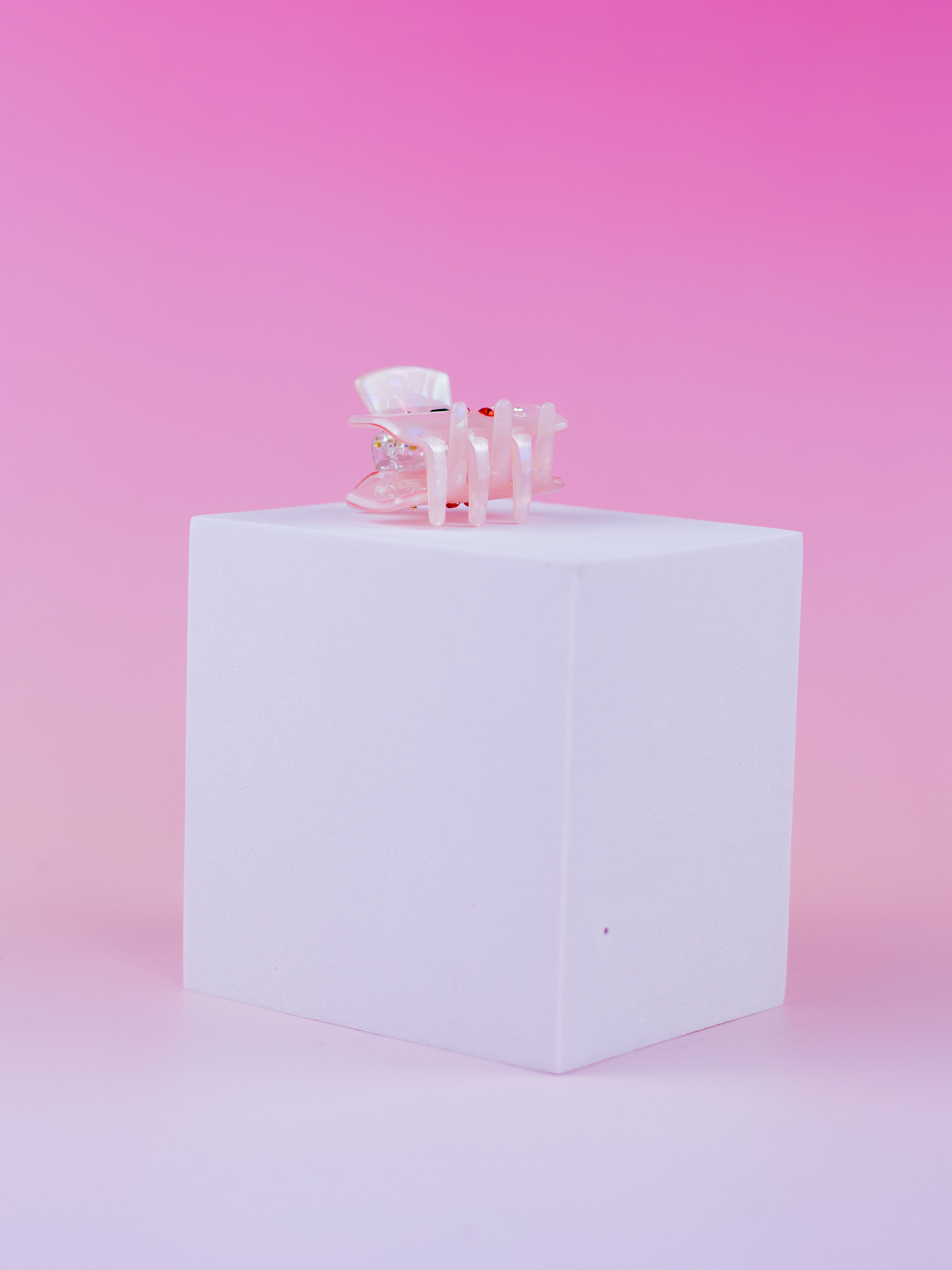 Piranha Acrílico com Cereja Variada